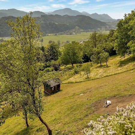 Počitniška hiša Herbal Terrace Apartment Marjetka *