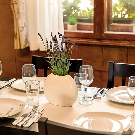 Herbal Terrace Apartment Marjetka Sentjur