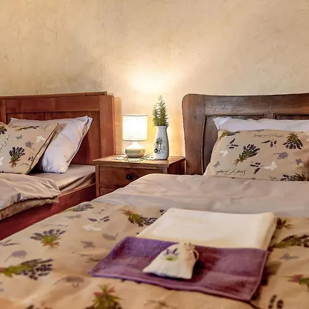 Počitniška hiša Herbal Terrace Apartment Marjetka Sentjur